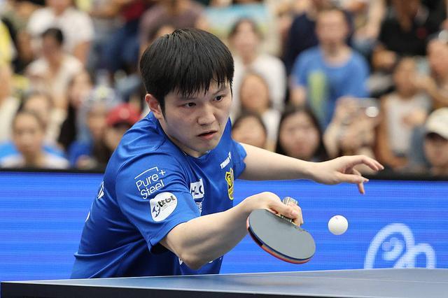 走势的蛛丝 走势的蛛丝